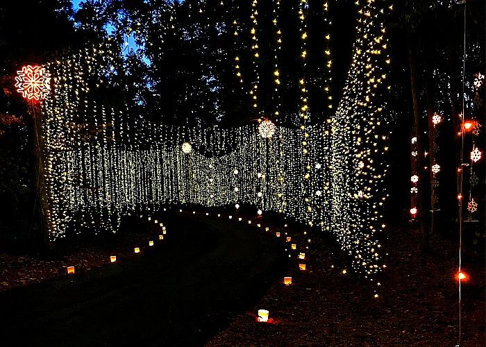 Huntsville, AL Christmas - Michelle Marine