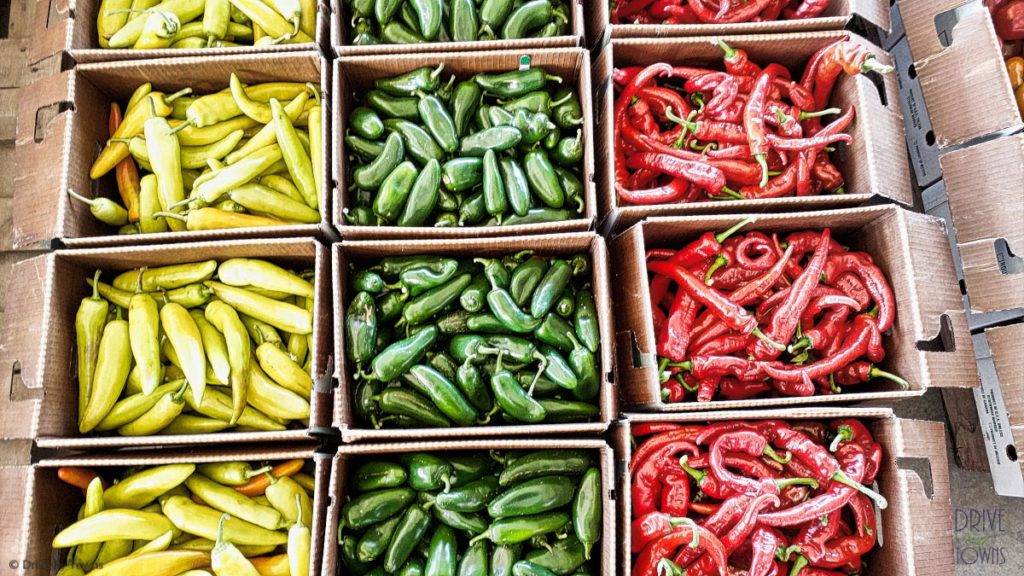 Colorful peppers at the Cedar Valley Produce Auction