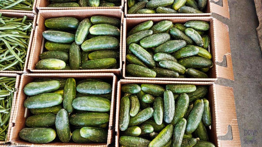Cucumbers