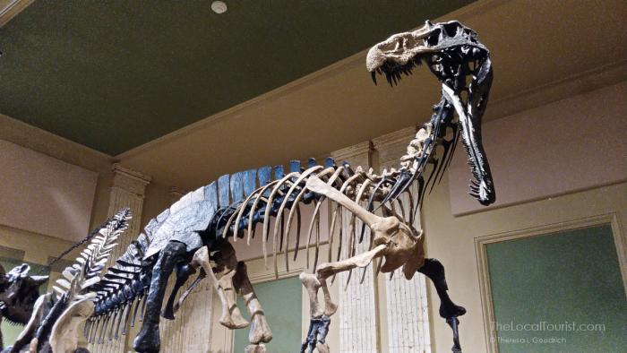Dinosaur Discovery Museum