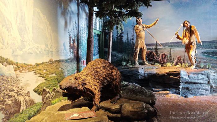 Giant rodent at the Kenosha Public Museum