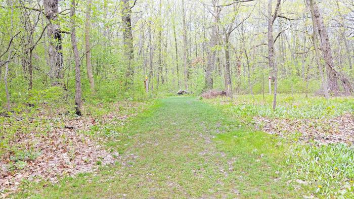 Bristol Woods in Kenosha Wisconsin