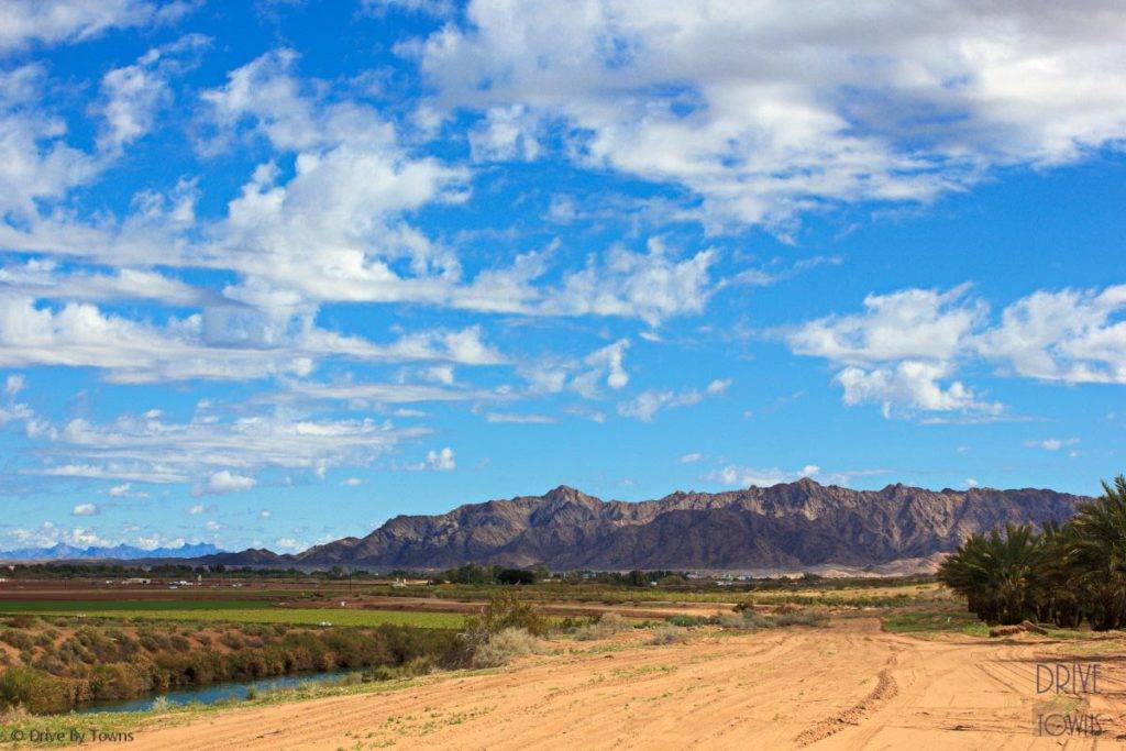 Sunny skies and lettuce fields in Yuma Arizona