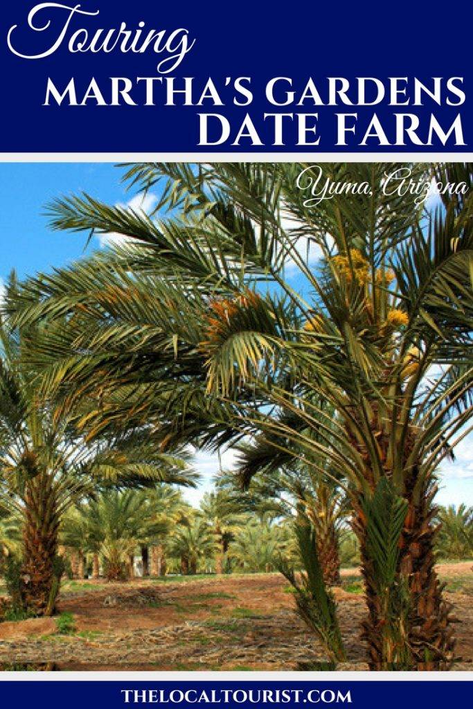 What it's like to take a tour of Martha's Gardens Date Farm in Yuma, Arizona