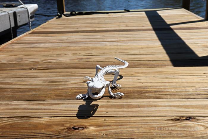 Gordon, the unofficial mascot of Sweet Olive Tour Boat on Ross Barnett Reservoir in Ridgeland, Mississippi