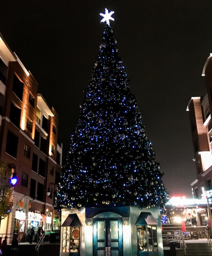 Branson, MO Christmas - Stacey Billingsley