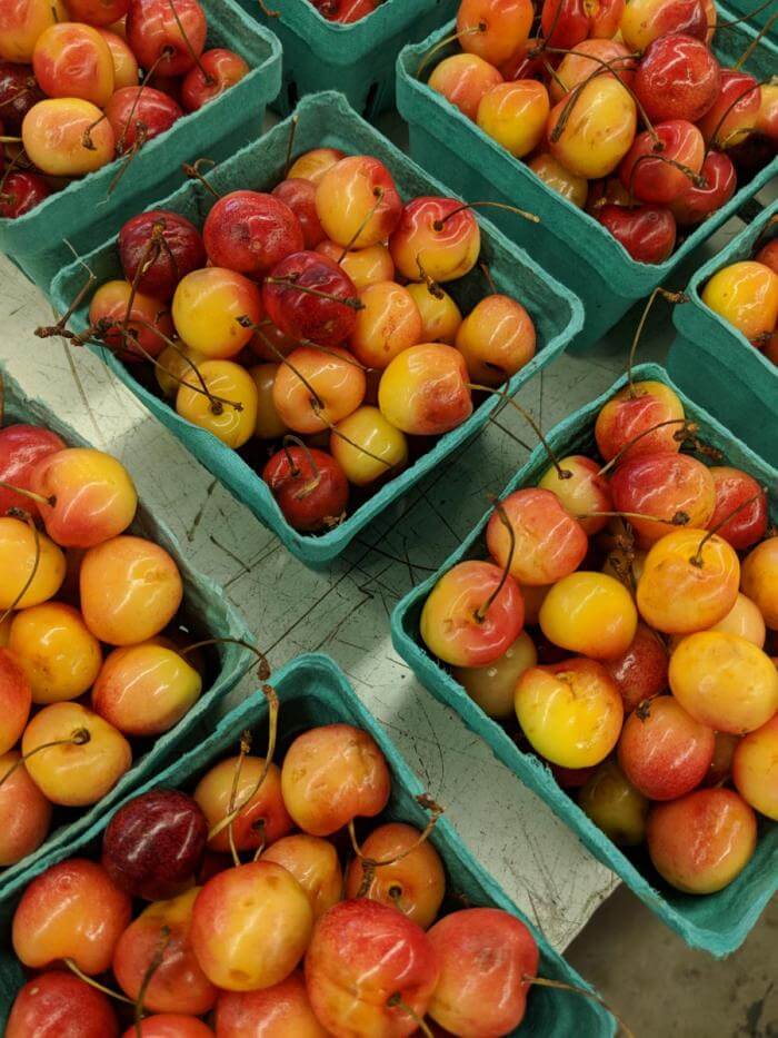 Cherries from the Garden Center in Sawyer, Michigan; photo credit Blagica