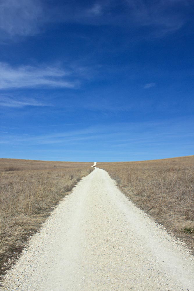 Path through Tallgrass Prairie National Preserve