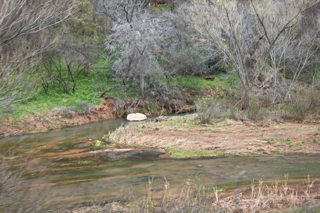 Verde River in the Verde Canyon