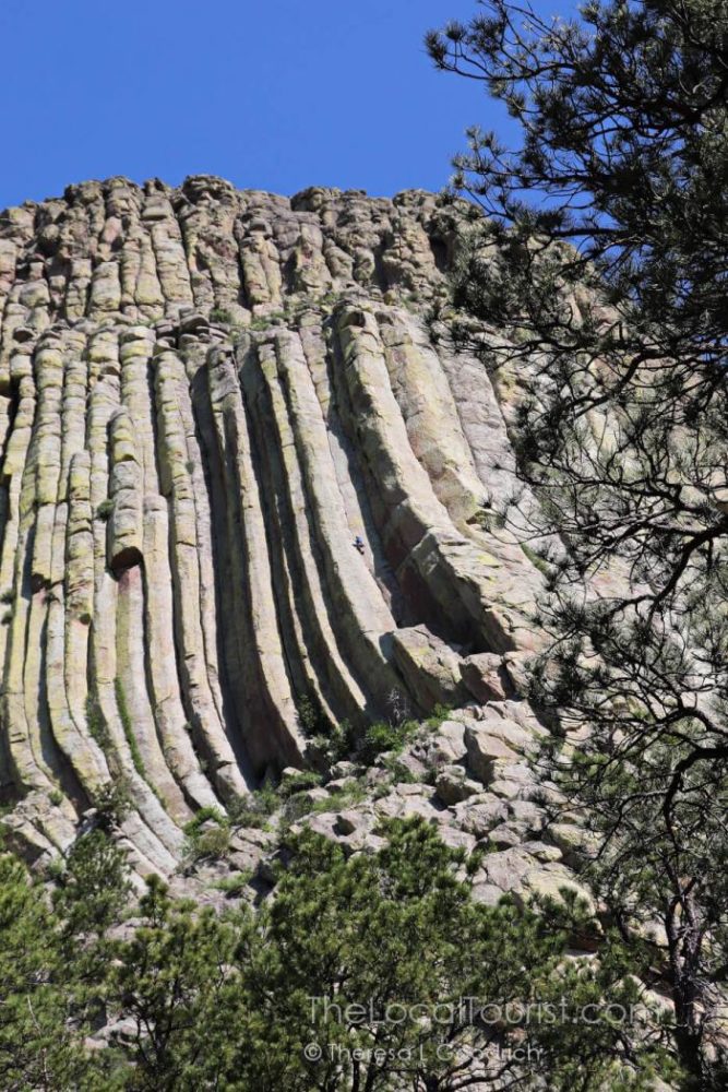 Climber on Devils Tower
