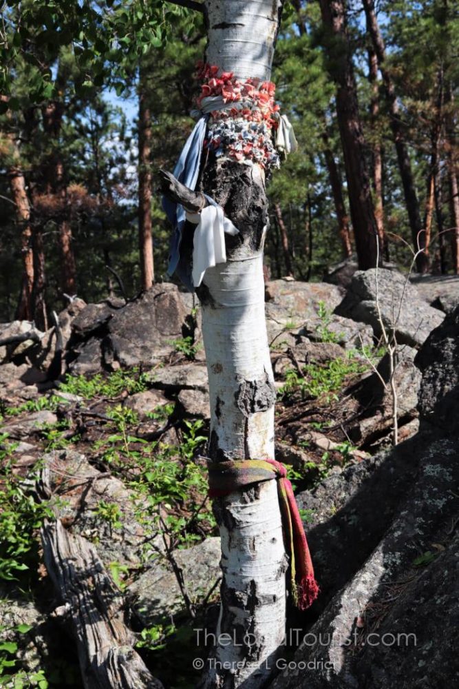Prayer cloths on a tree at Devils Tower National Monument, Wyoming