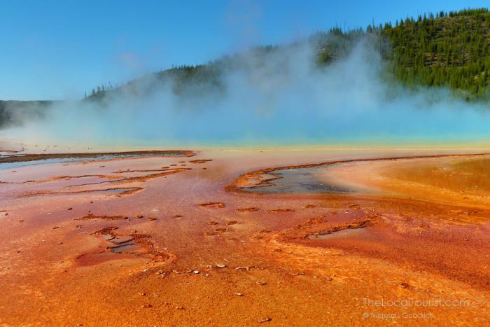Yellowstone - Grand Prismatic Springs