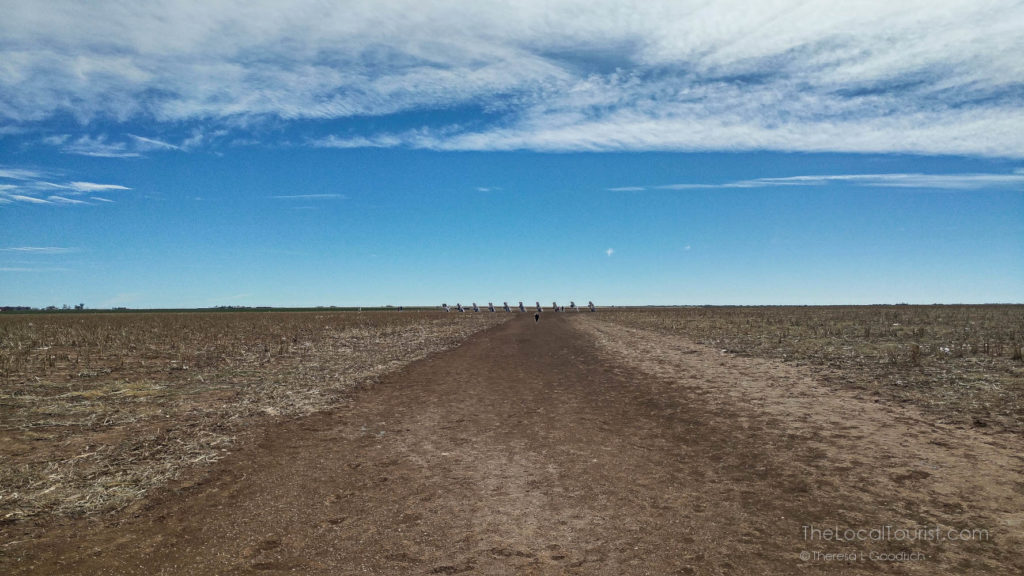 10 cars buried in the dirt off in the distance
