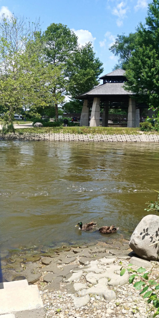 Gazebo on Walton Island