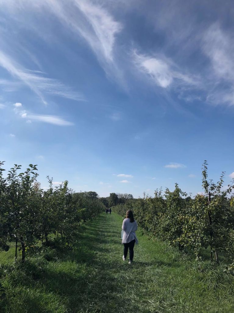 County Line Orchard, photo by Elizabeth Pollack