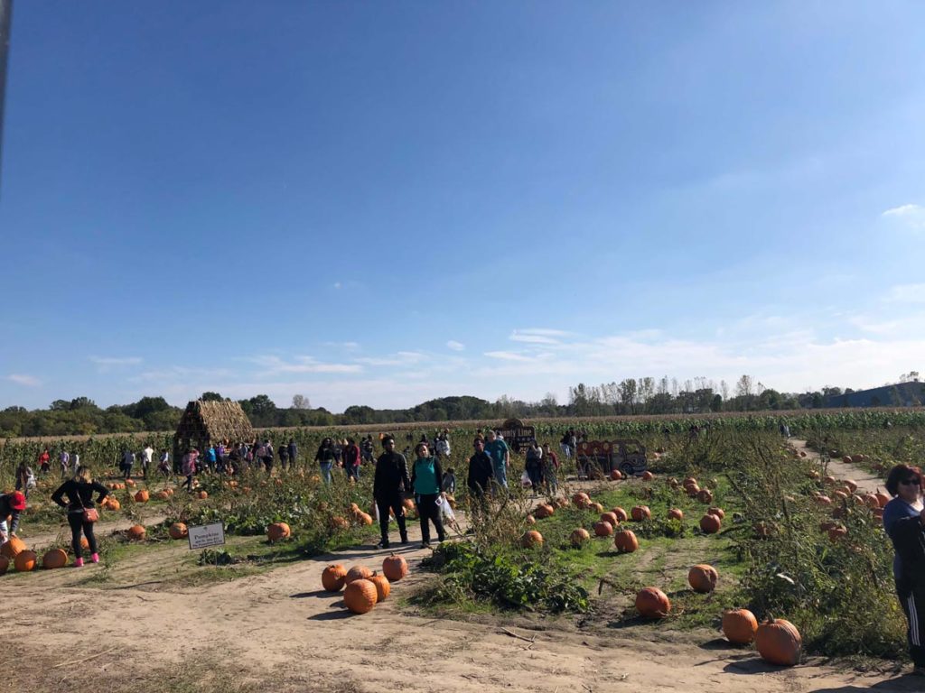 County Line Orchard, photo by Elizabeth Pollack