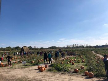 County Line Orchard, photo by Elizabeth Pollack