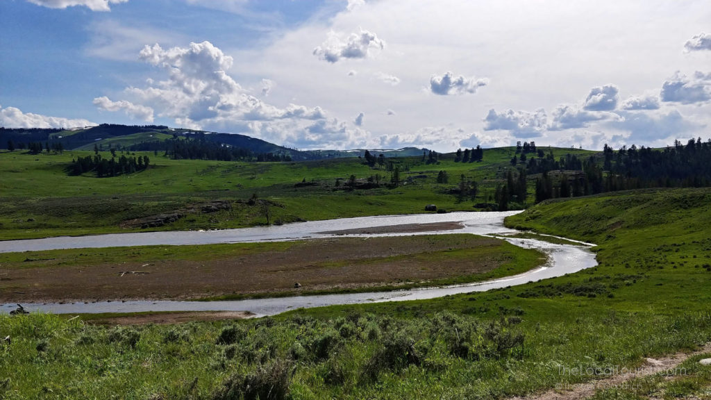 Lamar Valley in Yellowstone National Park
