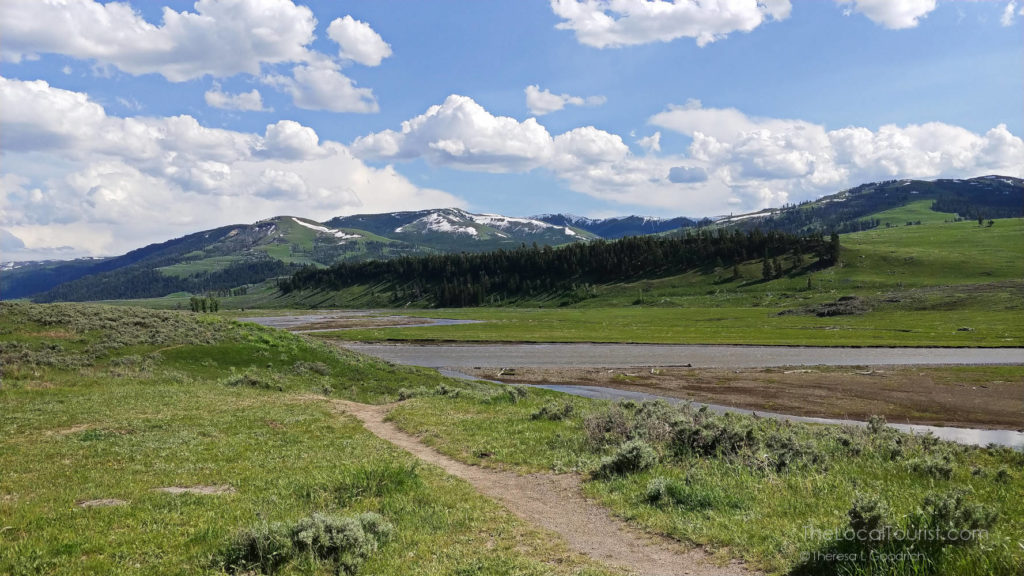 Lamar Valley in Yellowstone National Park