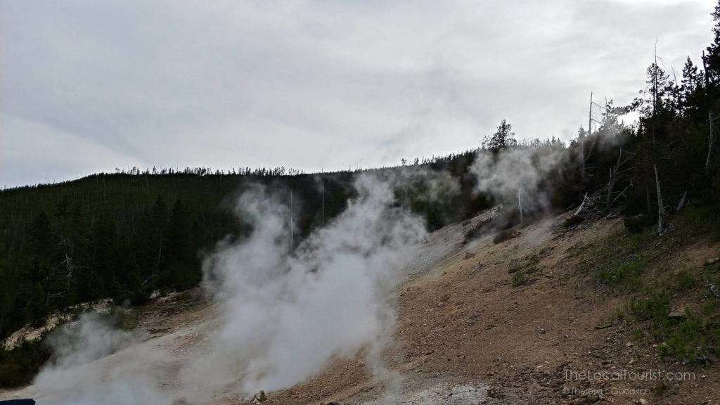 Steam from the earth's core along the roadside in Yellowstone