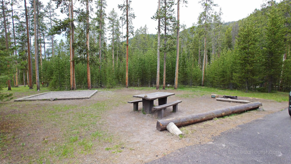 Our sprawling site at Madison Campground in Yellowstone