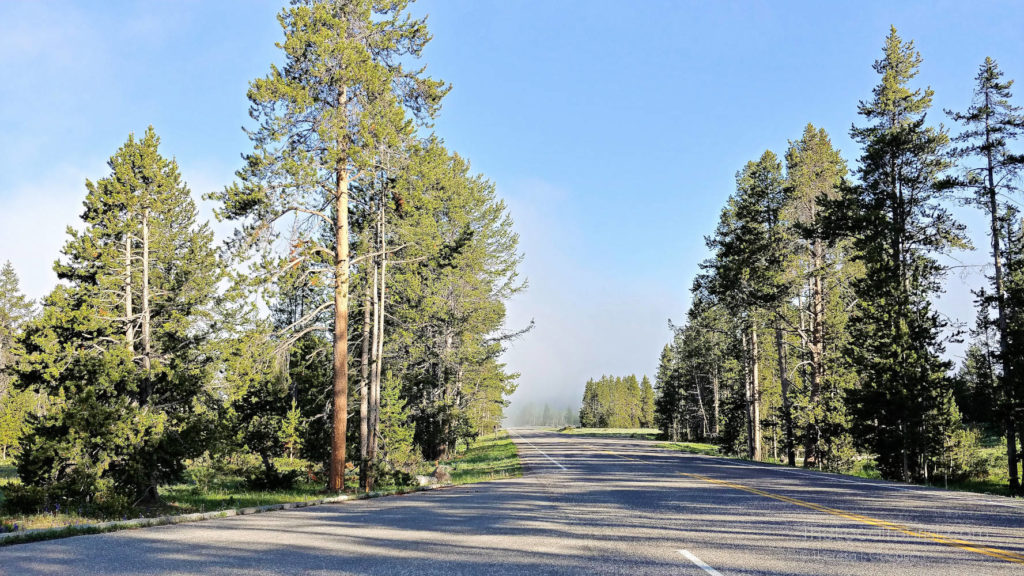 Road to Old Faithful