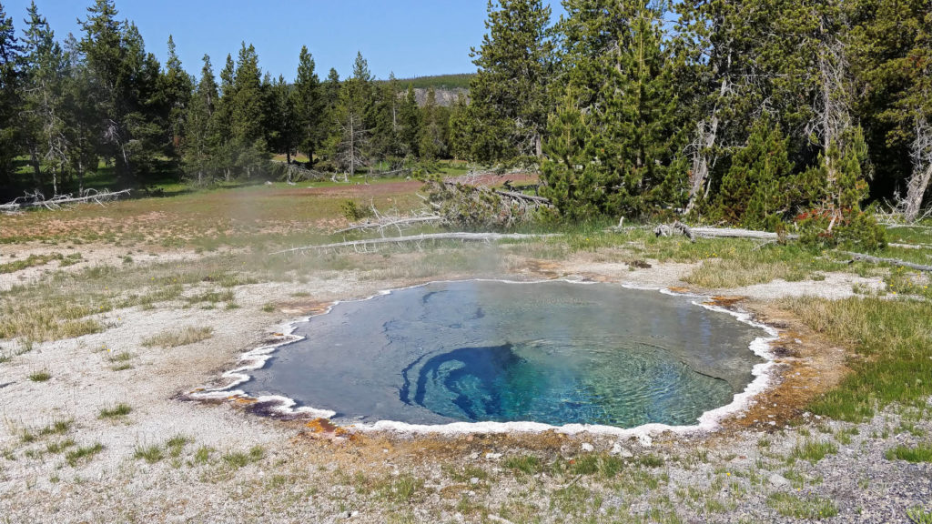Shield Spring, a hot pool near Old Faithful
