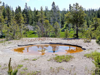 Thermal pool at Yellowstone National Park