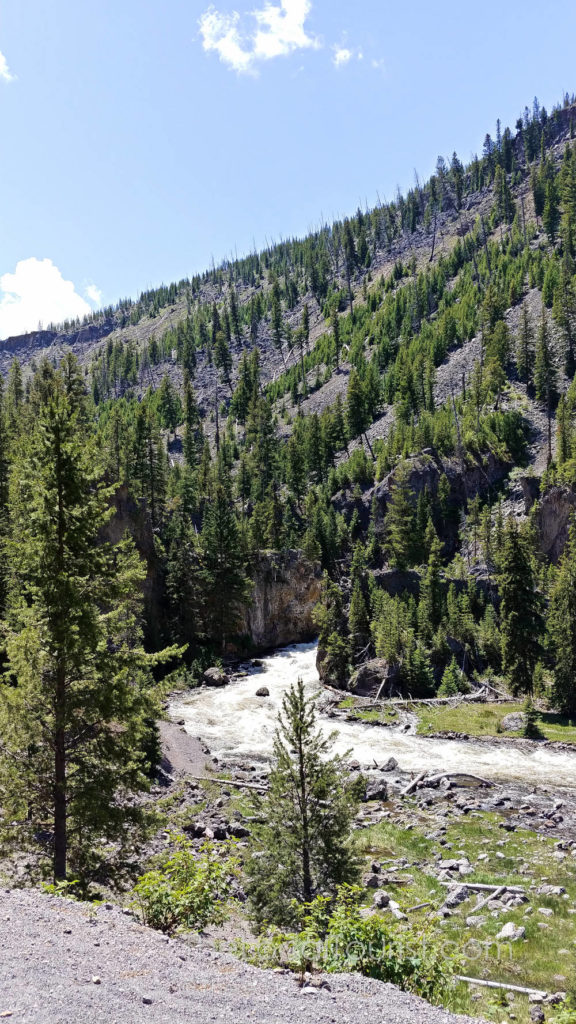 Firehole River and Firehole Canyon Drive