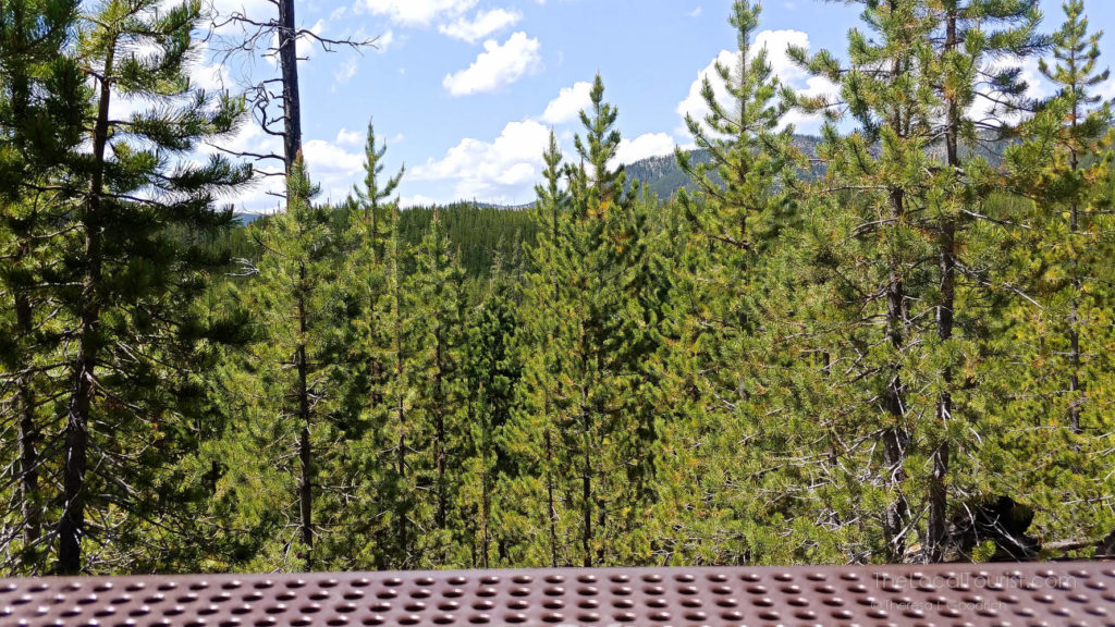 Our picnic view