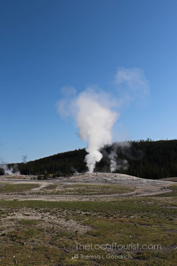 Old Faithful in Yellowstone National Park