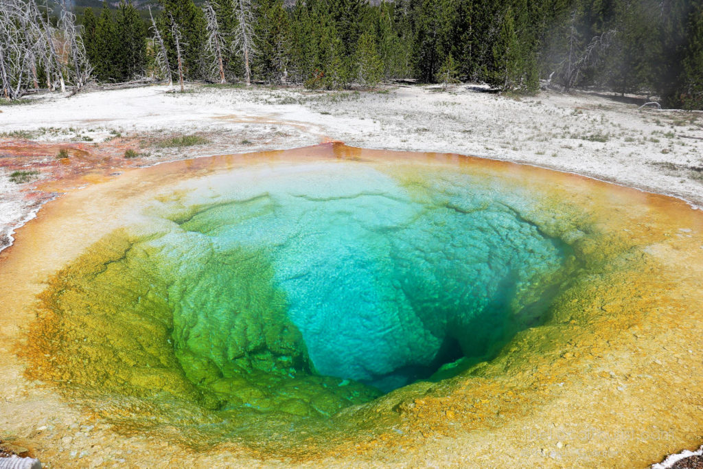 Morning Glory, hot spring at end of the trail near Old Faithful