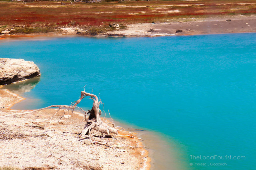 Hot spring pool in Yellowstone