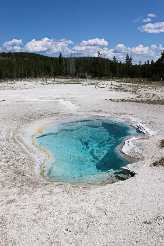 Bright blue pool in Biscuit Basin in Yellowstone National Park