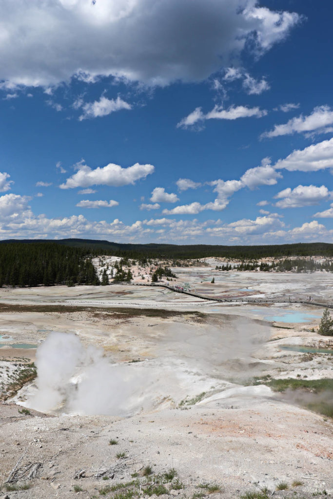 Porcelain Basin in Yellowstone - you can see why it's been given that name!