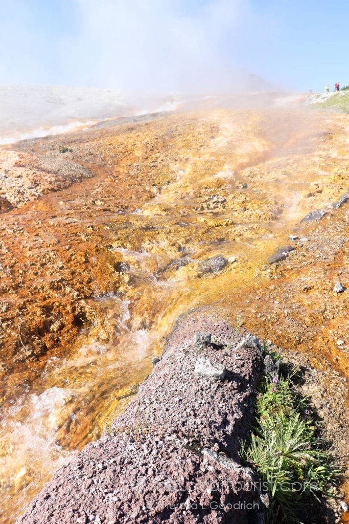 Runoff from Excelsior Geyser
