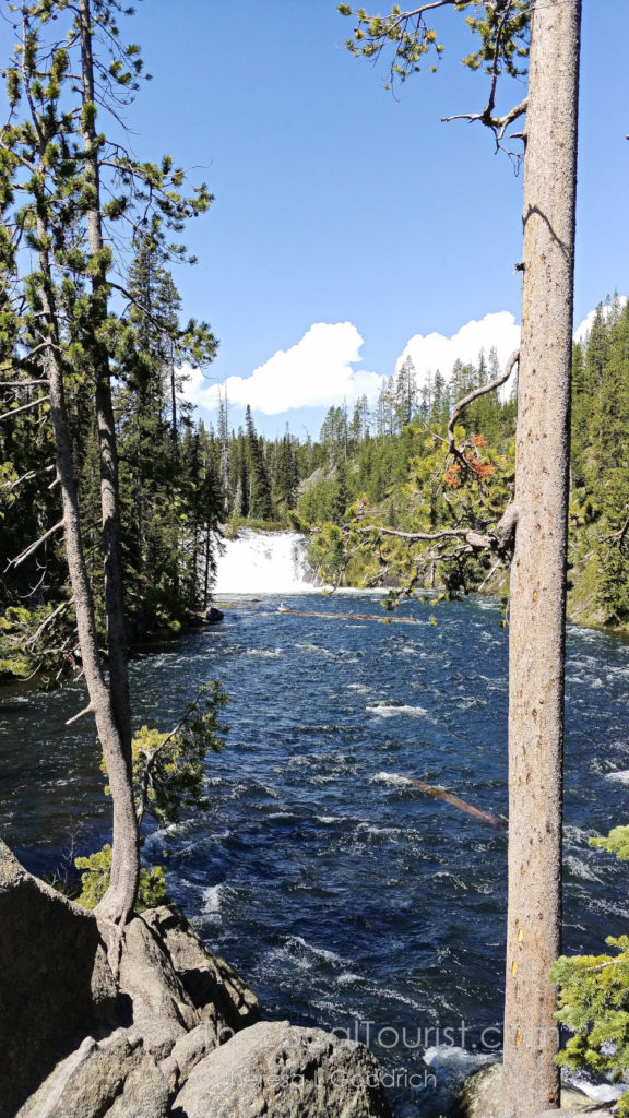 Lewis Falls, our last stop in Yellowstone National Park