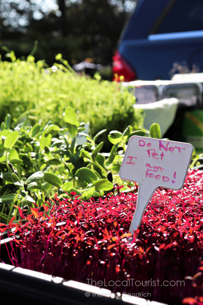 Microgreens at Woodstock Farmers Market
