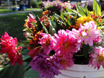 Flowers at Woodstock Farmers Market