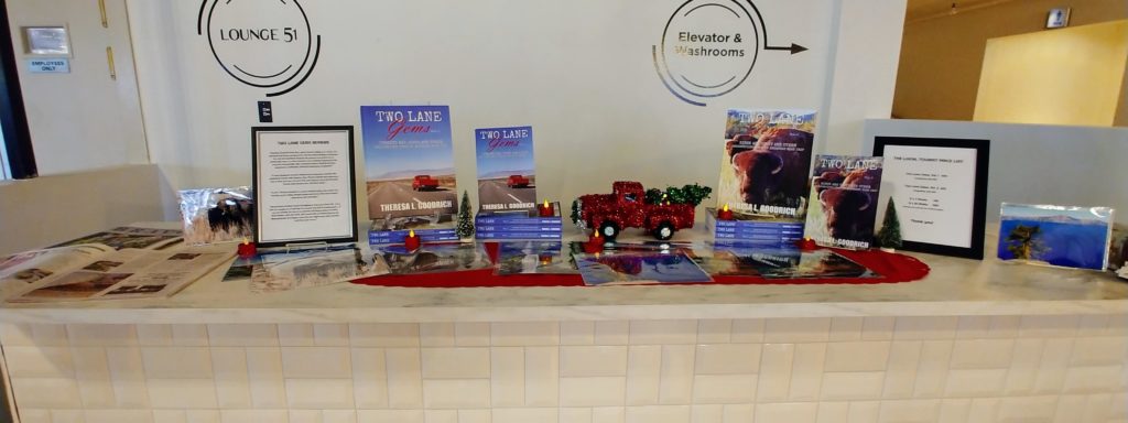 Oodles of counter space for my display at Dream Hall in Elgin, Illinois