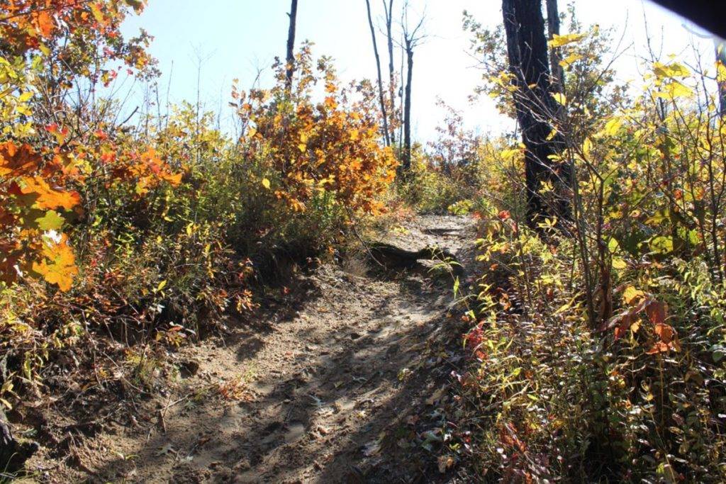 Dune Ridge