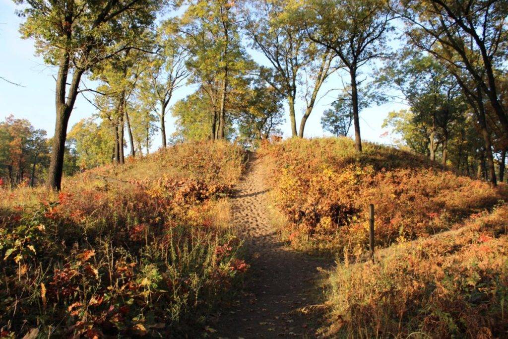 Paul H. Douglas Trail at Indiana Dunes National Park