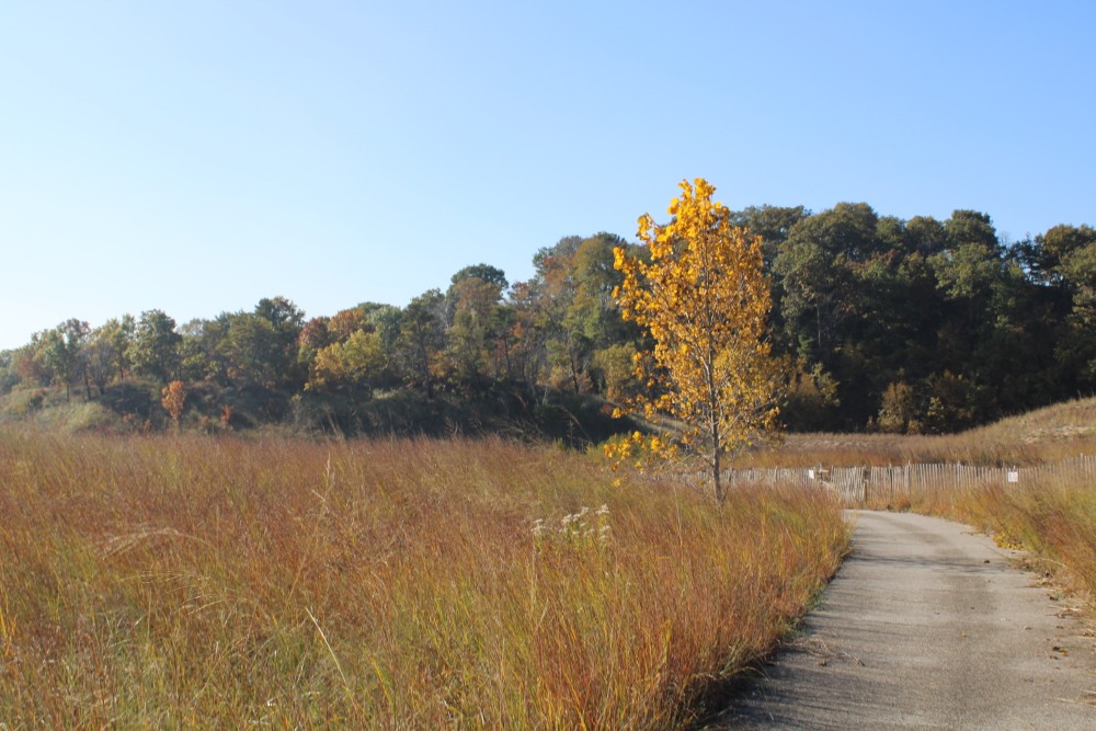 Portage Lakefront and Riverwalk
